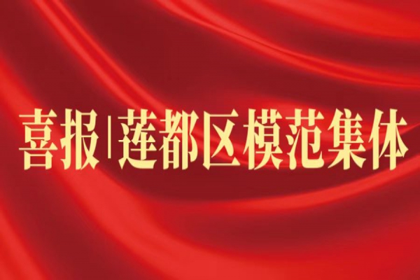 喜報丨浙江中立建設(shè)榮獲蓮都區(qū)“模范集體”稱號！